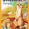 q serie 3 suriguri