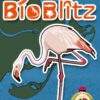 Bioblitz Delta del Ebro